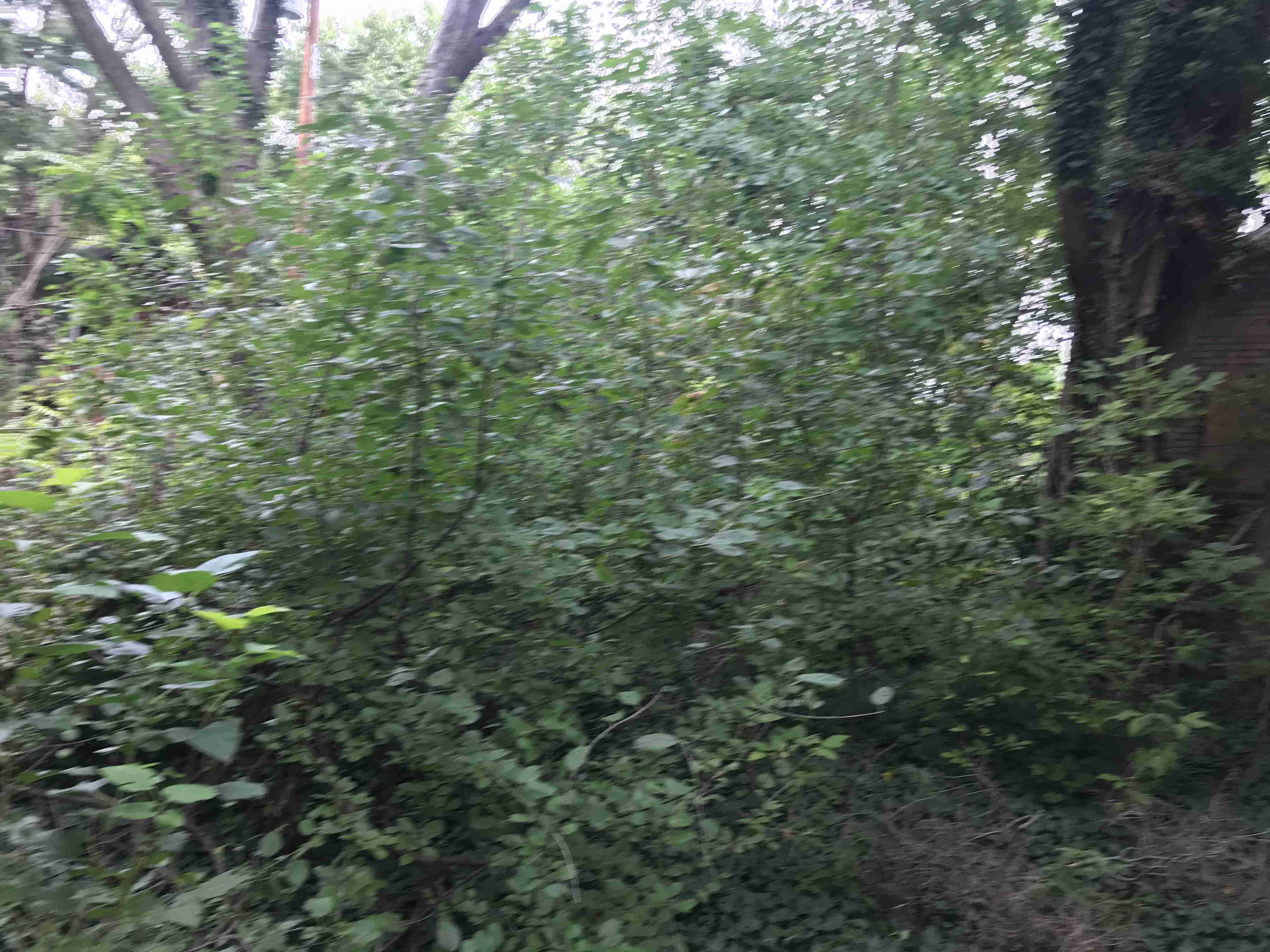 Photo Sep 10, 2 44 53 PM (1).jpg